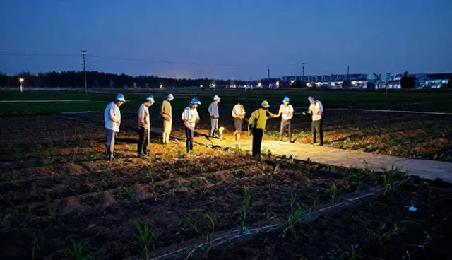 农产品基地合作中种植技术的两种做法对比与实际取舍