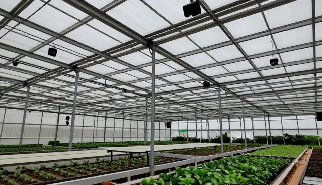 种苗供应中的种植技术指导关键环节分析